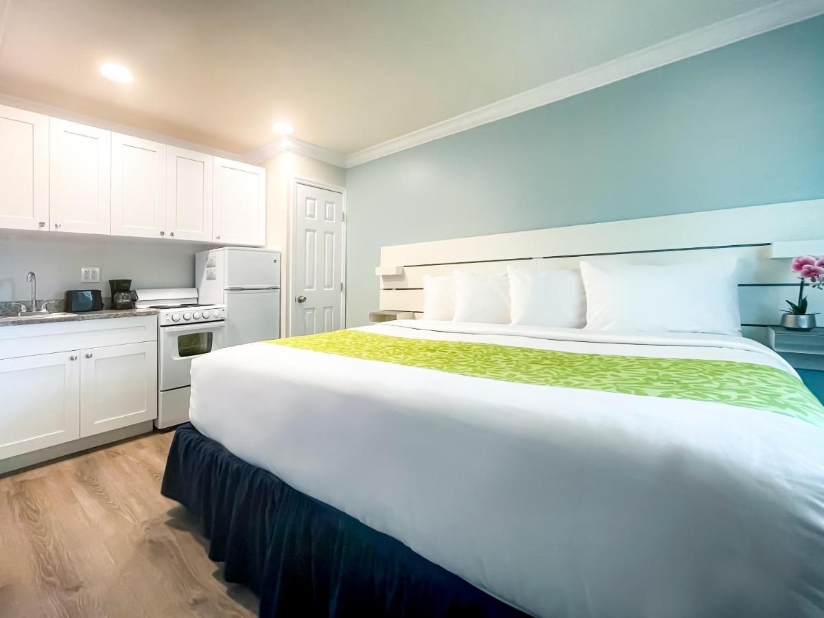The Clevelander Hotel Hollywood Ngoại thất bức ảnh